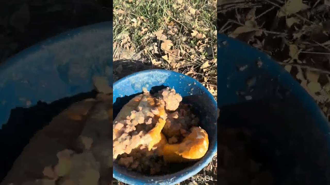 Bebekleri kliniğe götürürken farkettik 