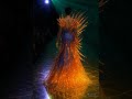 POV: the water moved back — the fire moved forward