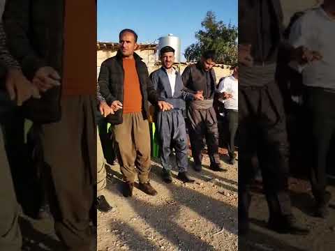 HÊVÎ STUDYO ŞAHIYA