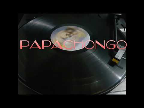 REMIX LOS MELODICOS PAPACHONGO