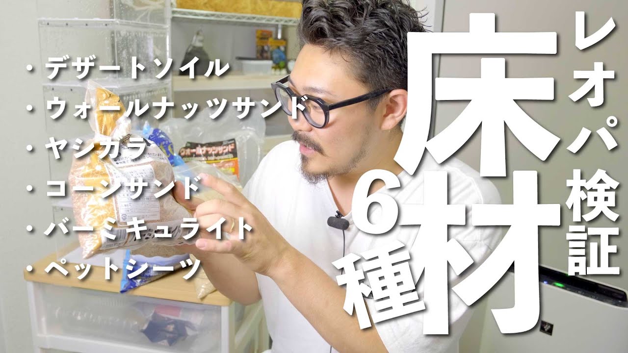 【レオパ床材６種】細かい使用感などを検証。