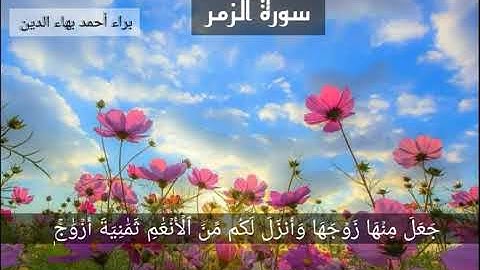 (خلقكم من نفس واحدة) سورة الزمر القارئ ناصر القطامي