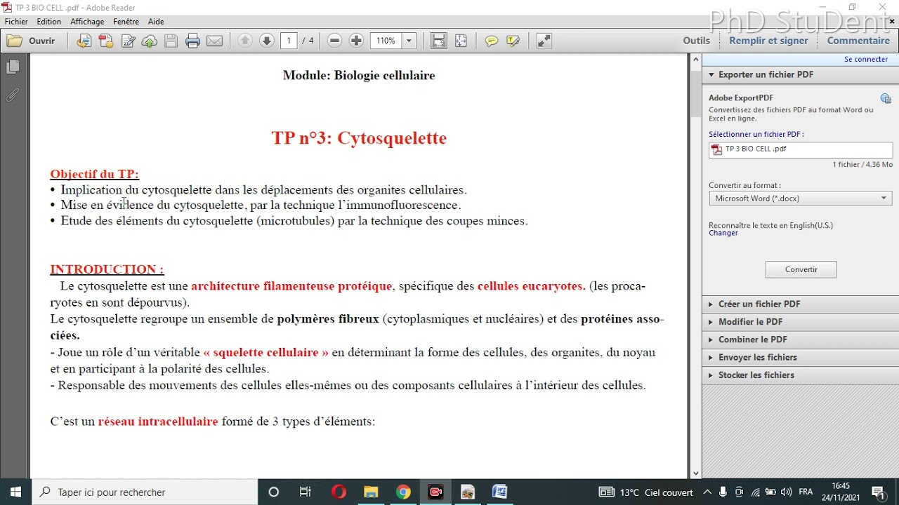 Page De Garde Compte Rendu Tp Sorbonne Universite comment écrire un compte rendu de tp (exemple Tp n°3: Le Cytosquelette