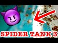 Redback Spider Tank 3 Spiderlings Are So Cute &amp; Deadly EDUCATIONAL VIDEO Part 2