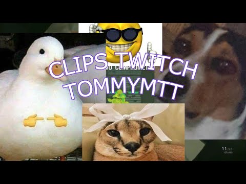 clips de twitch
