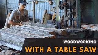 Satisfying Wood Cutting: Specialized Wood Cutter in Action with Realistic Sounds