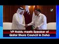 Vp naidu meets speaker of qatar shura council in doha