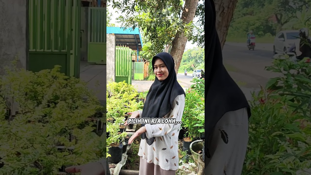 Ini Dia Rekomendasi Buat Kamu Bunga Yang Cocok Untuk Cuaca Panas dan Mudah Dirawat