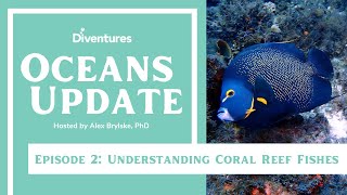 Oceans Update Episode 2