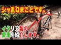 シャ乱Qまことです。僕のイタリア製の愛車を紹介します。CARRERA　ロードバイク【まこっチャンネル vol.30】