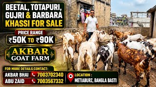 60-100Kg+ Beetal Totapuri &amp; Gujri Khassi For Sale | Akbar Goat Farm, Metiaburz | Call : 7003702340