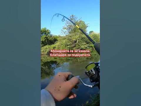 Луди кефали по р.Тунджа - YouTube