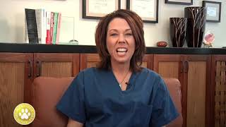 Vitamin K1 Treatment Duration in Patients with Brodifacoum Poisoning screenshot 4