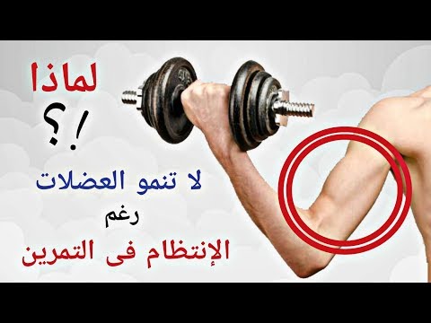 فيديو: لماذا لا تنمو العضلات؟