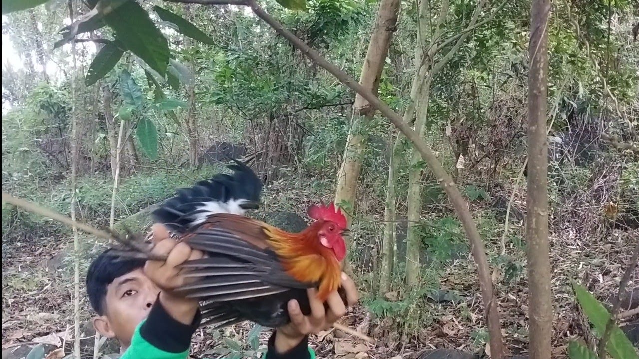 Huli sa pasuot. Hindi man lang sumagot sa pangati