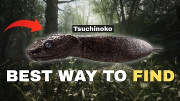 How to Catch the Tsuchinoko & Unlock Infinite Ammo | MGS3 Delta Guide