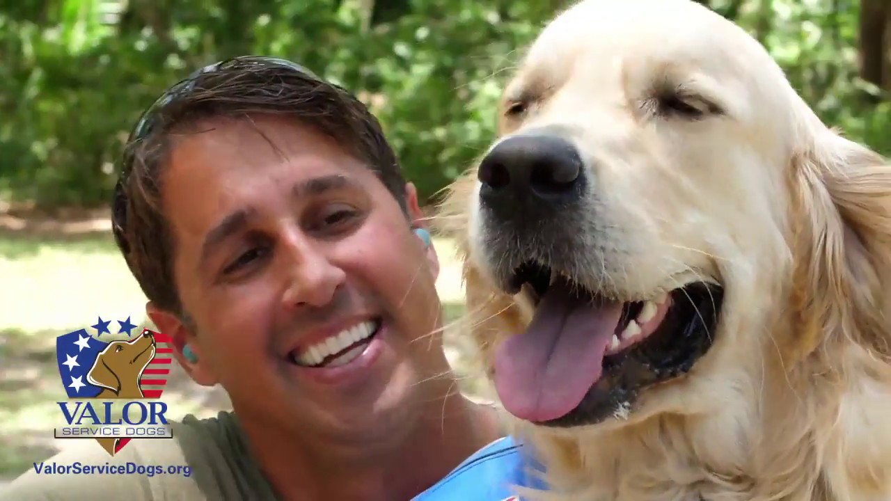 Get to know Valor Service Dogs
