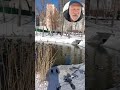 The spring will get there! Me and ducks are happy.
