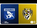 Sharks v Tigers: Grand Final Season 2024 - Ravensthorpe & Districts Football Association