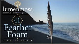 41 — feather foam