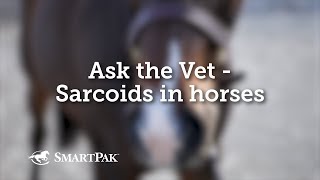 Ask the Vet - Sarcoids in horses