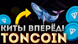 ВАЖНО! КИТ TONCOIN КУПИЛ 863 МЛН TON! ПАМП TON К 4$! ПОКУПАЙ СРОЧНО! TONCOIN НОВОСТИ!