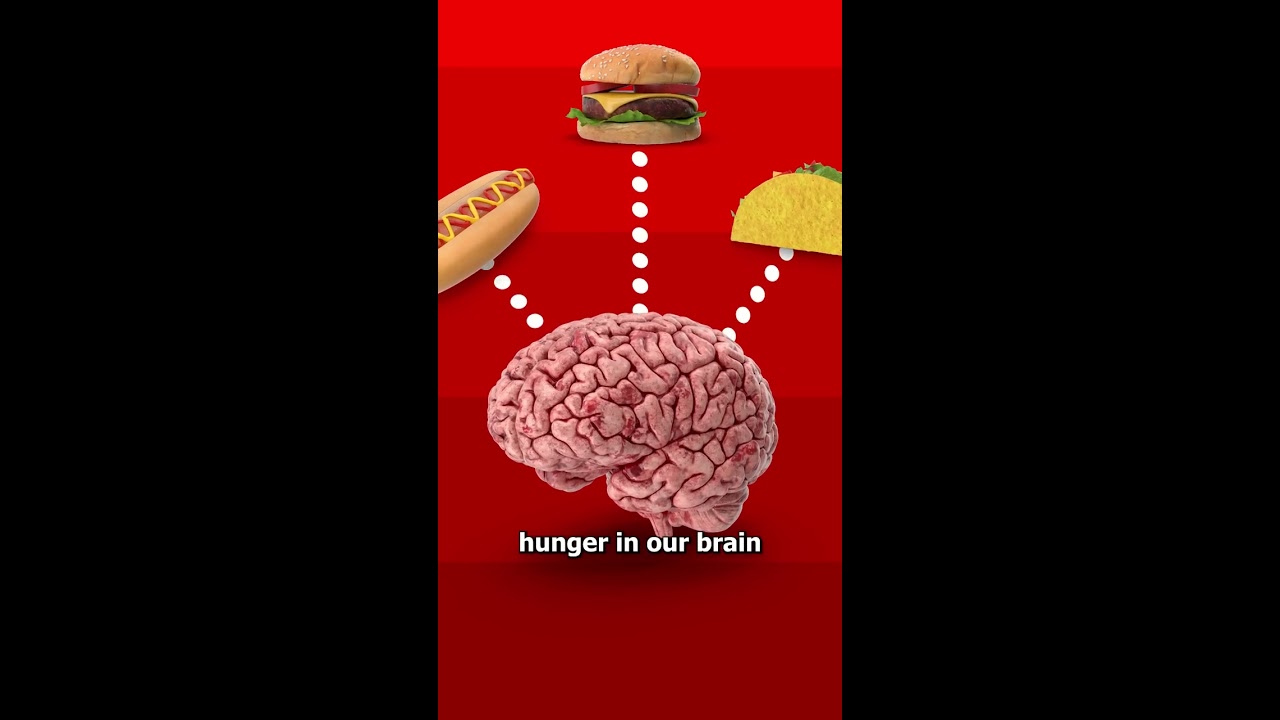 Why Are All Fast Food Signs Red EXPLAINED 