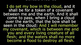 I do set my bow in the cloud