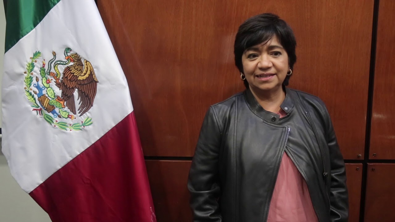 Dra Edna Elena Vega Rangel - Nueva titular de la CONAVI - YouTube