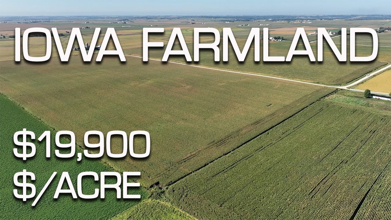 19,900 PER ACRE IOWA LAND AUCTION YouTube