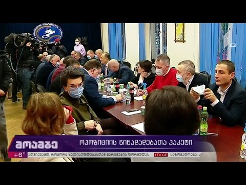 ოპოზიციის მოთხოვნათა პაკეტი