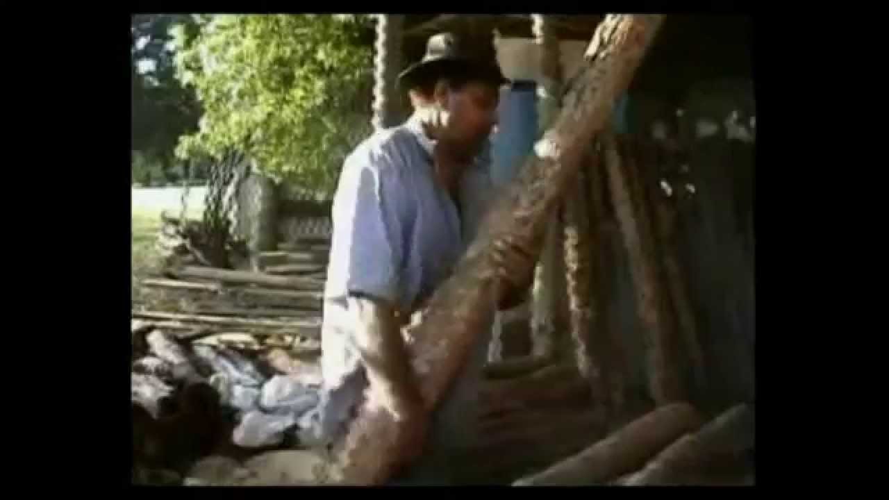 2005 - Coupe et Fabrication de didgeridoo - avec Raphaël Didjaman