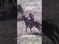 Жекеме жеке чебери Кубантай🔥 #кокбору #кыргызстан #кубантай
