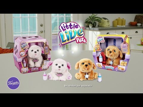 tiara sleepy puppy little live pets