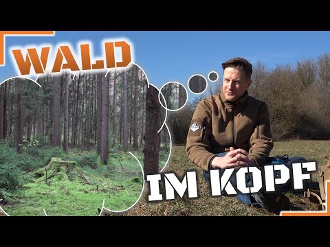 Soll ich mir einen WALD KAUFEN? - Eure Hilfe ist gefragt! - Eigenen Wald kaufen Teil 01