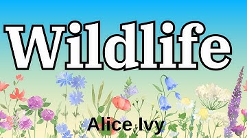 Alice Ivy - Wildlife  ( English Lyrics )