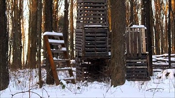 shockwave exploding targets