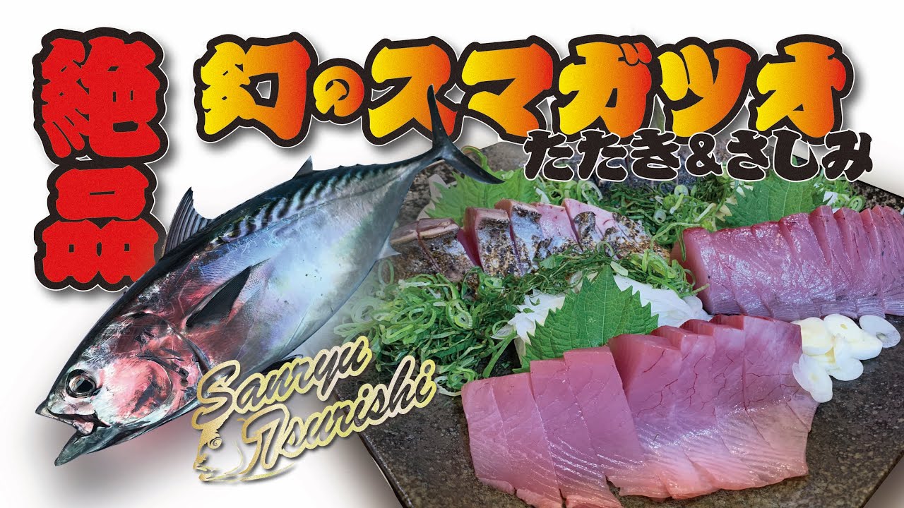 無料でダウンロード スマガツオ 刺身 魚の画像は無料