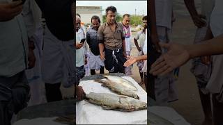 கடவ மனகள ஏலம மததககட