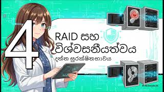 මහා පරිමාණ දත්ත ගබඩා පද්ධති | Mass Storages #softwareengineering #sinhala #it #technology