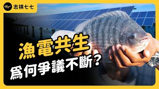 一邊養魚、一邊發電！台灣真的能做到「漁電共生」嗎？｜志祺七七
