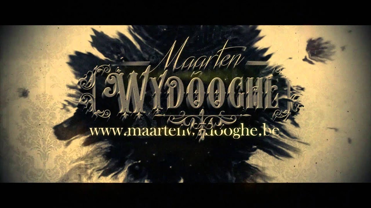 EINDWERK DOCUMENTAIRE DAVID HUYS "de nevelspoock"