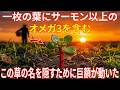 一枚の葉にサーモン以上のオメガ3。なぜ世界で最も栄養価の高い植物が「雑草」とされているのか？除草剤産業に狙われたスーパープラント
