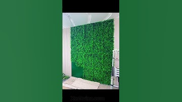 THI CÔNG TƯỜNG CÂY GIẢ CHO VĂN PHÒNG 168 THÁI HÀ #caygia #tuongcaygia