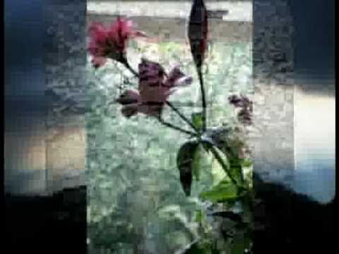 เพื่อนร่วมทาง(ดีเจรัก).flv