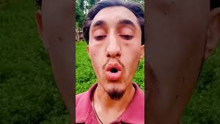 Hadith Regarding The Period Of Pause In Revelation.