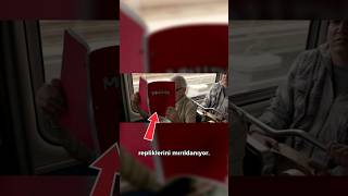 Stan Leenin Captain Marveldaki Duygusal Göndermesi