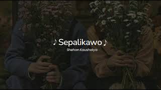 Sepalikawo | සේපාලිකාවෝ (Slowed + Reverb)