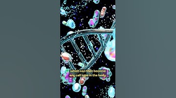 Lifespan What is Reprograming?  #lifespan #davidsinclair #longevity #health #booksummary