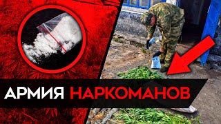 Массовое употребление наркотиков в российских войсках. Как устроен наркотрафик на фронт?